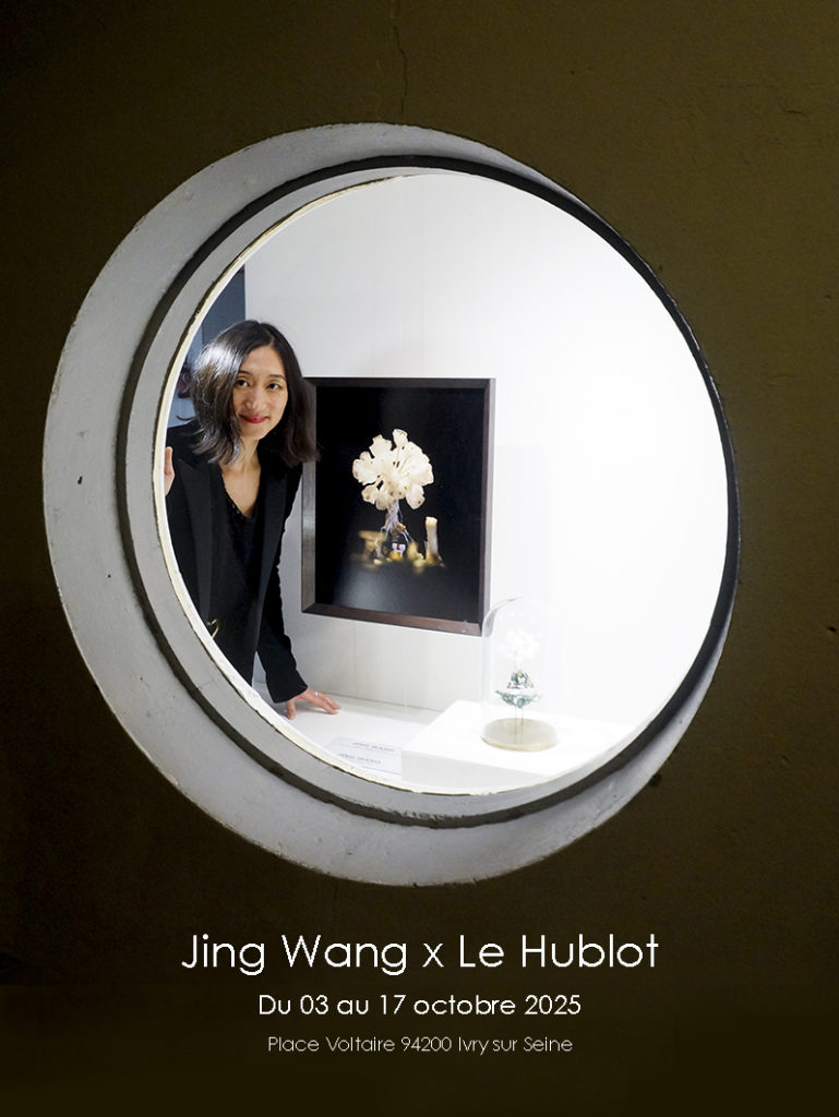 Jing au Hublot affiche web 2