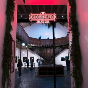 Expo 15 Web